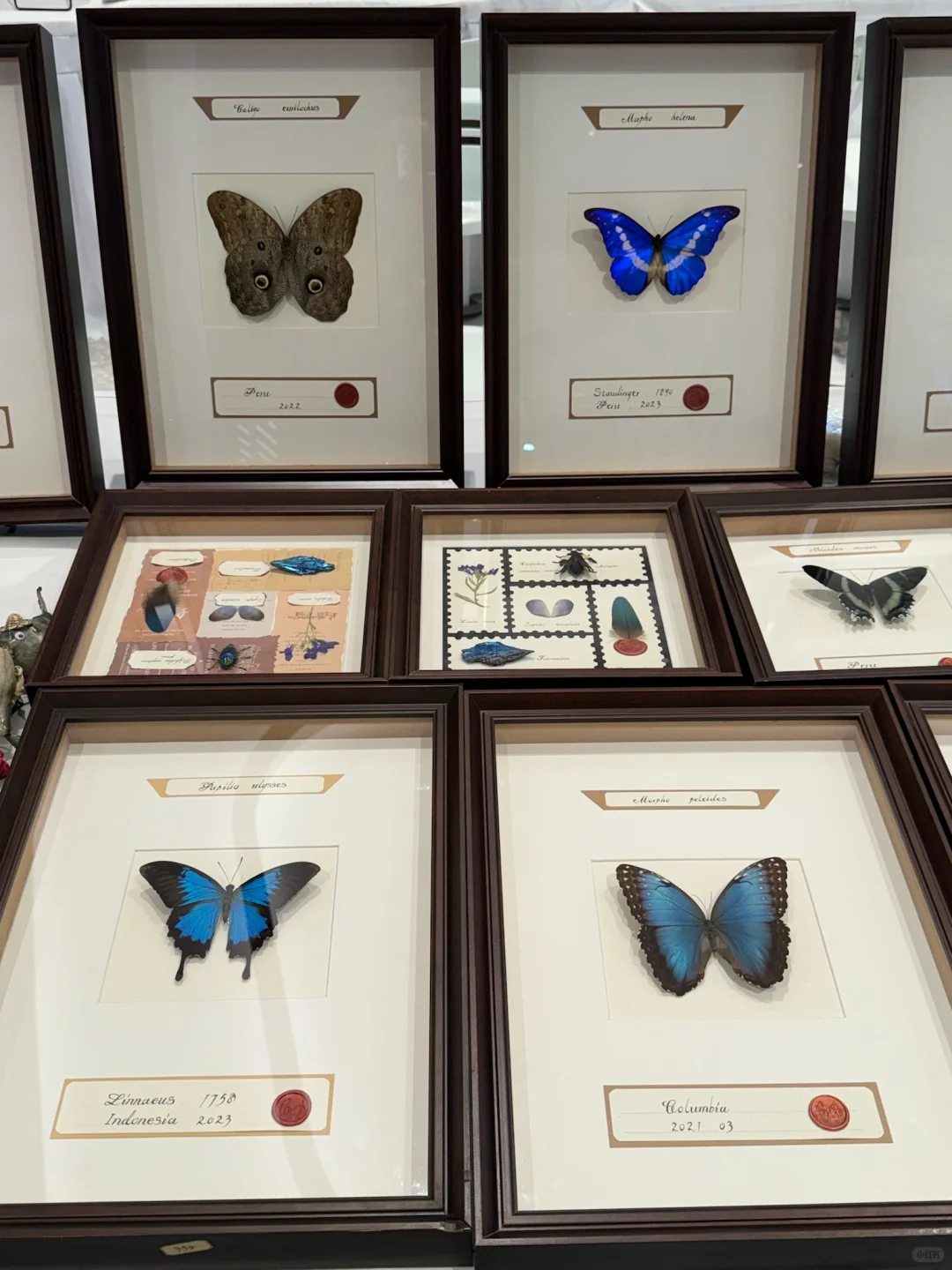 济南人来见世面了。。。。。。好好逛啊！！！！