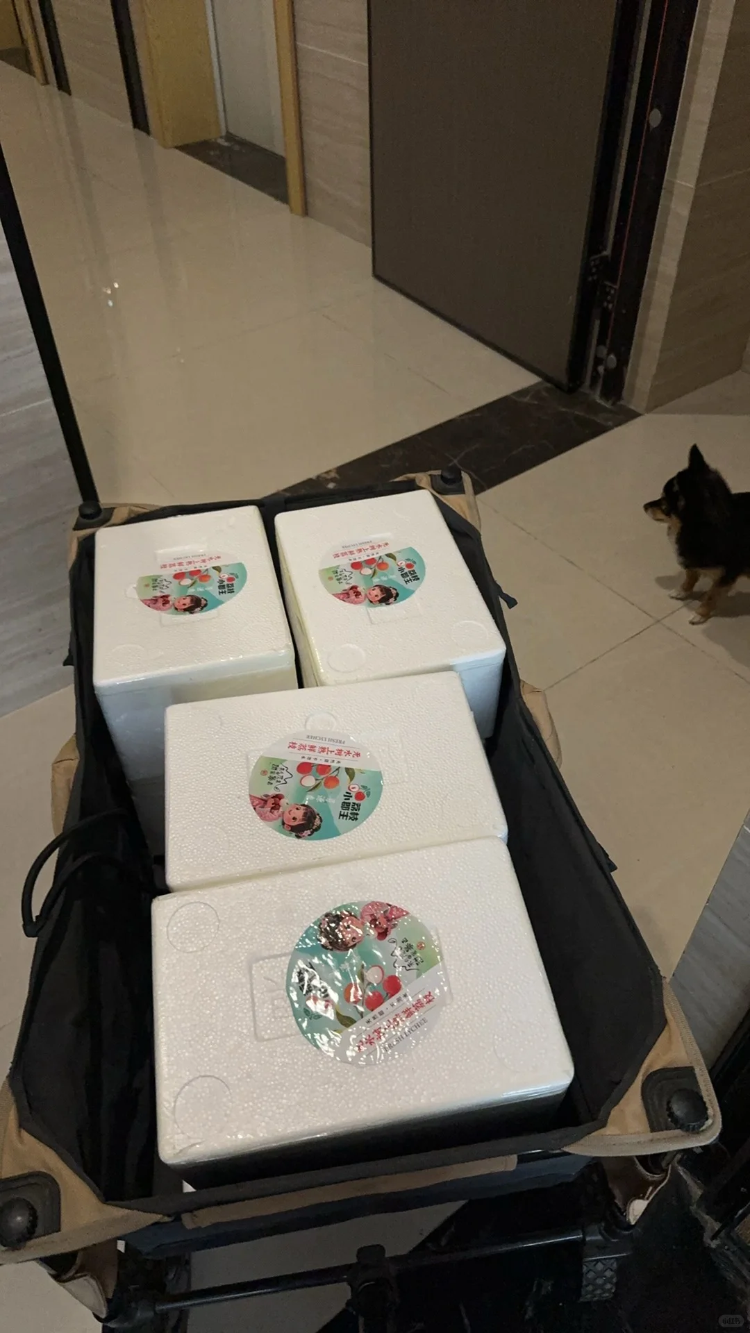 社区团购第一天，给大家说说我的思路。