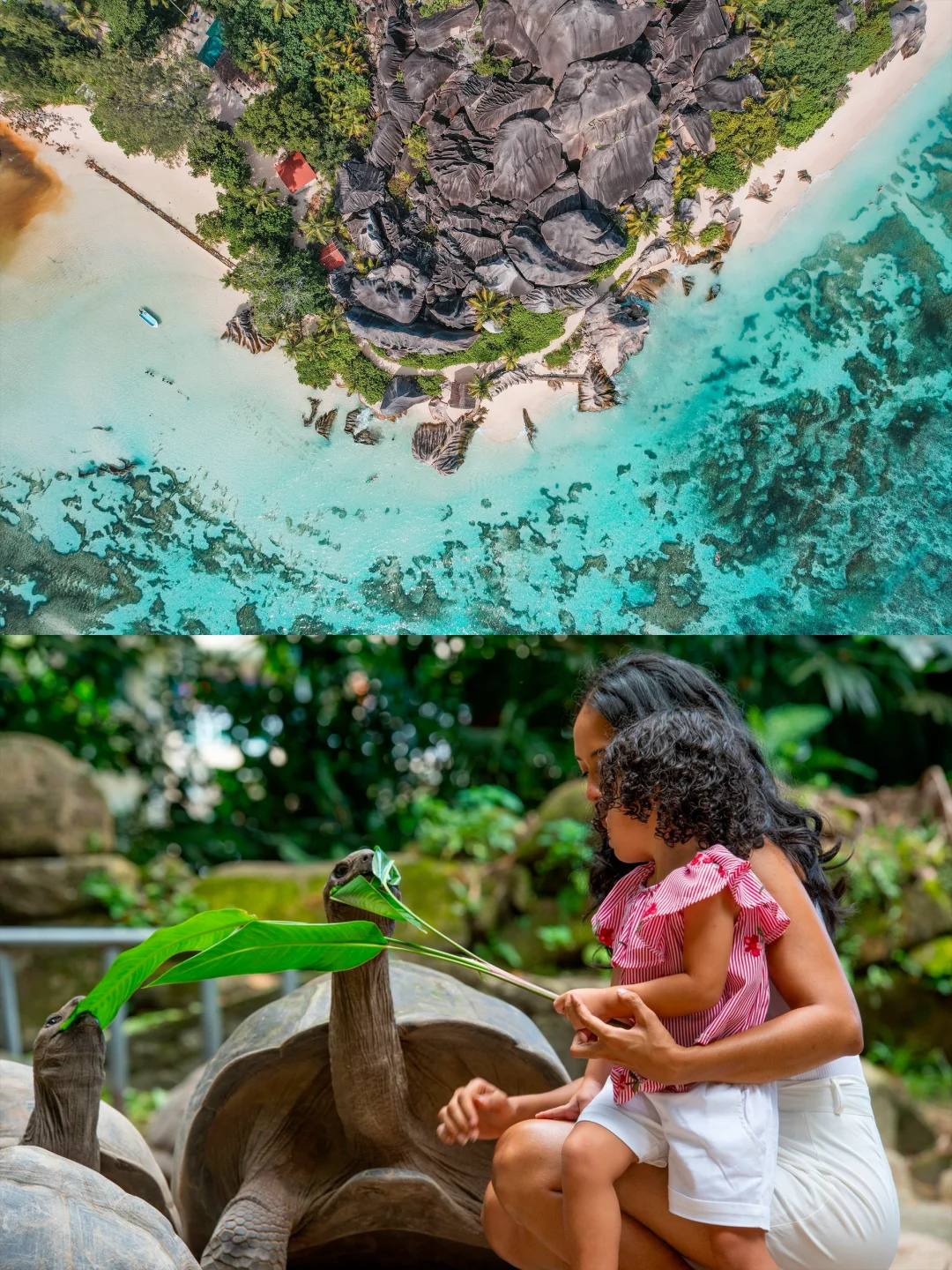 旅游界奥斯卡！ITB干货大放送