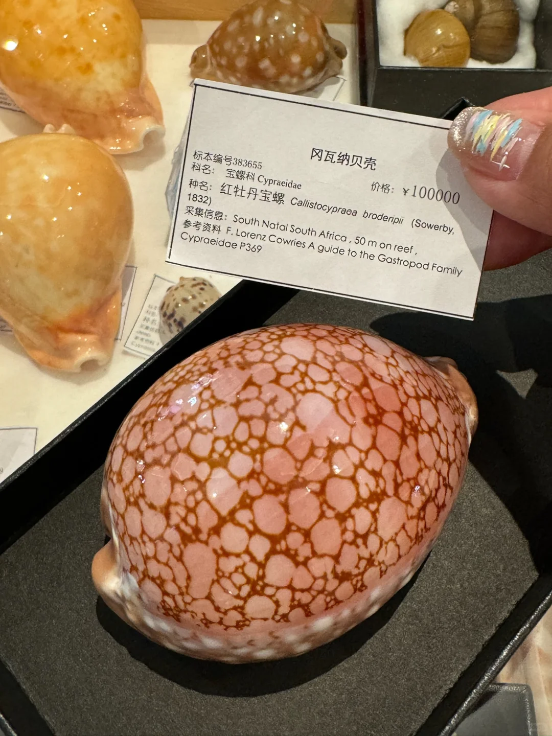 济南人来见世面了。。。。。。好好逛啊！！！！