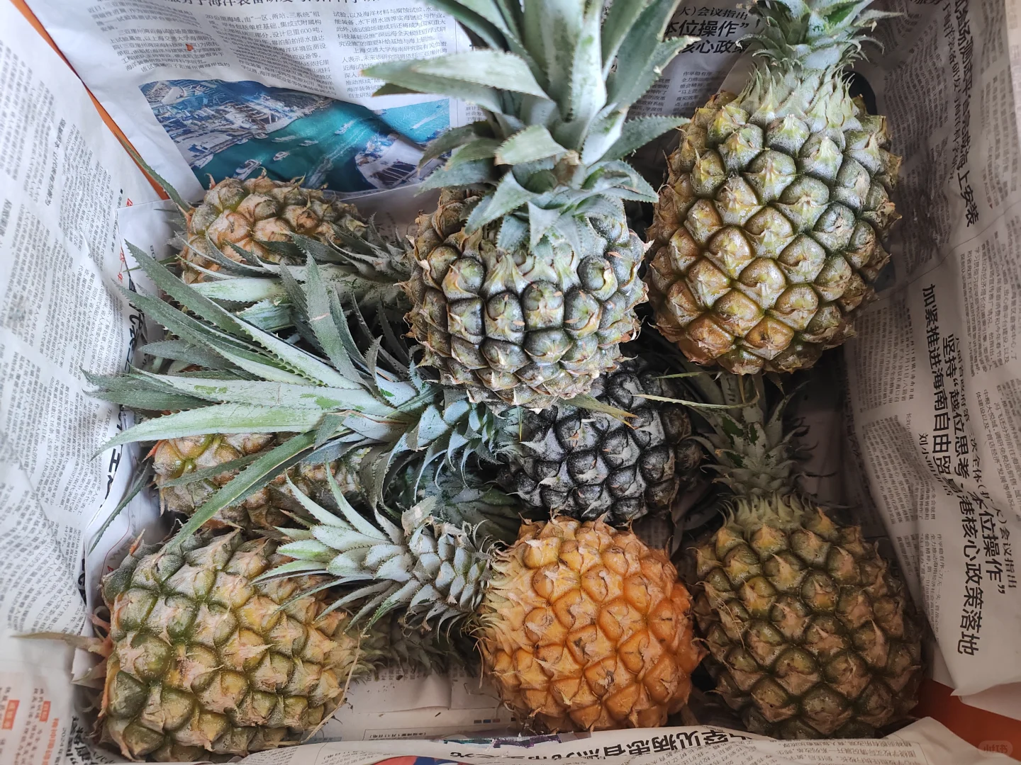 社区团购+便利店，普通人如何一天挣600花