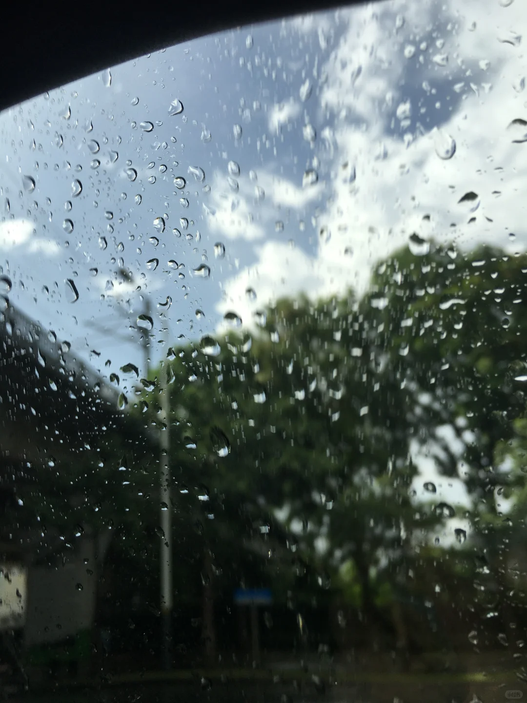 近乎偏执病态的爱意具象化.