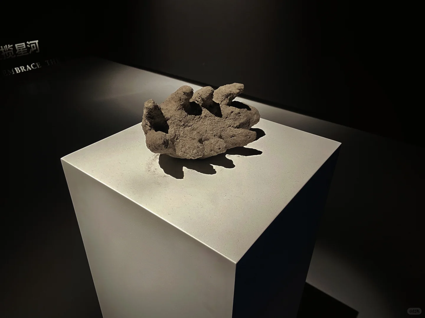 看展，也是在看自己。?