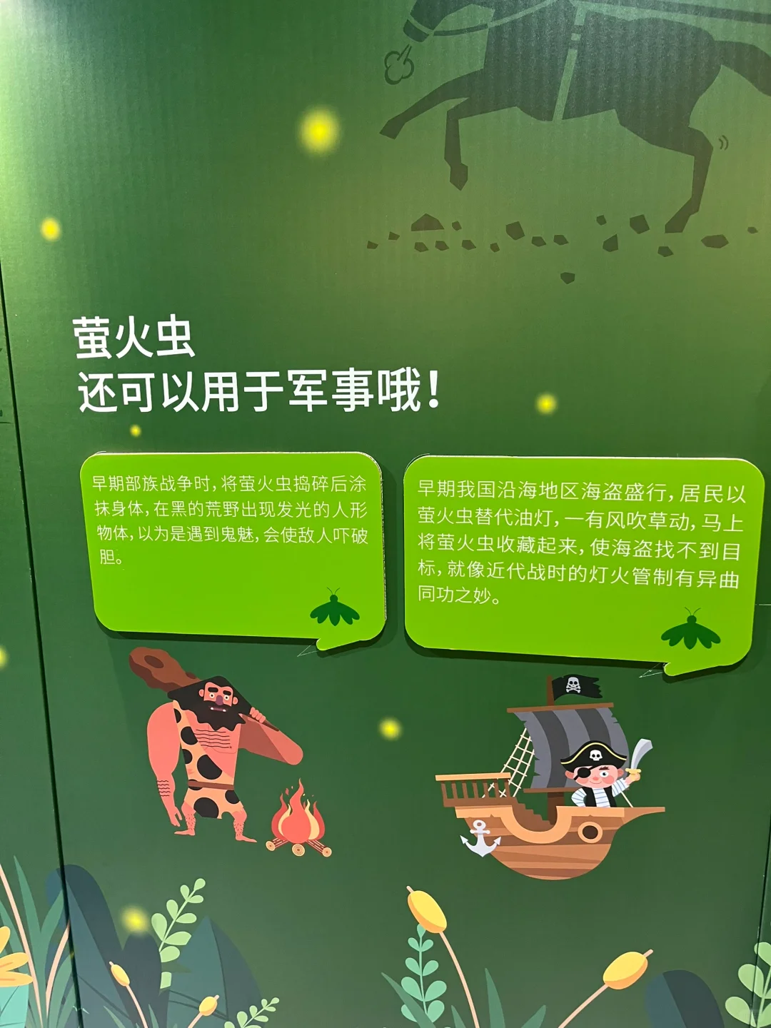 萤火虫专题展览，小朋友很开心