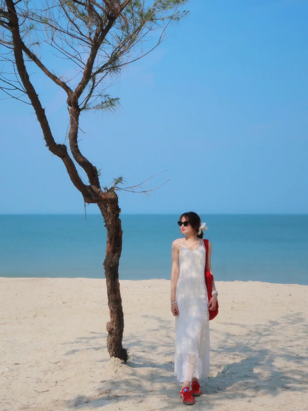 ??ᵕ̈ 南澳环岛记????◌??