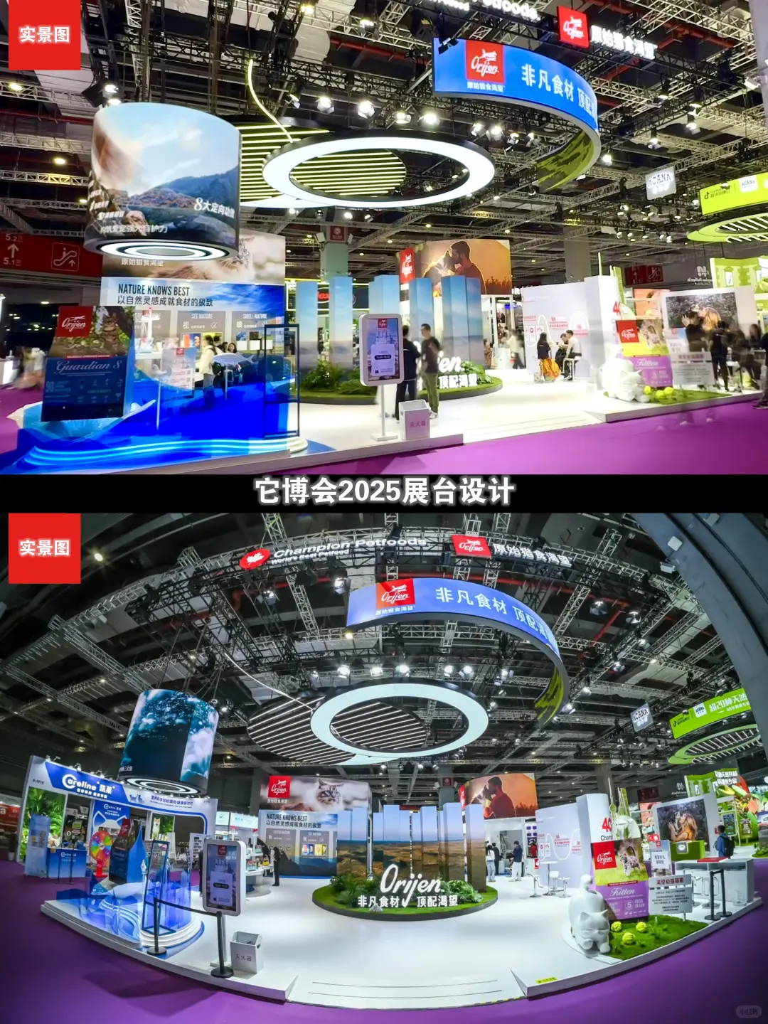 它博会宠物展台设计~原野猎食渴望