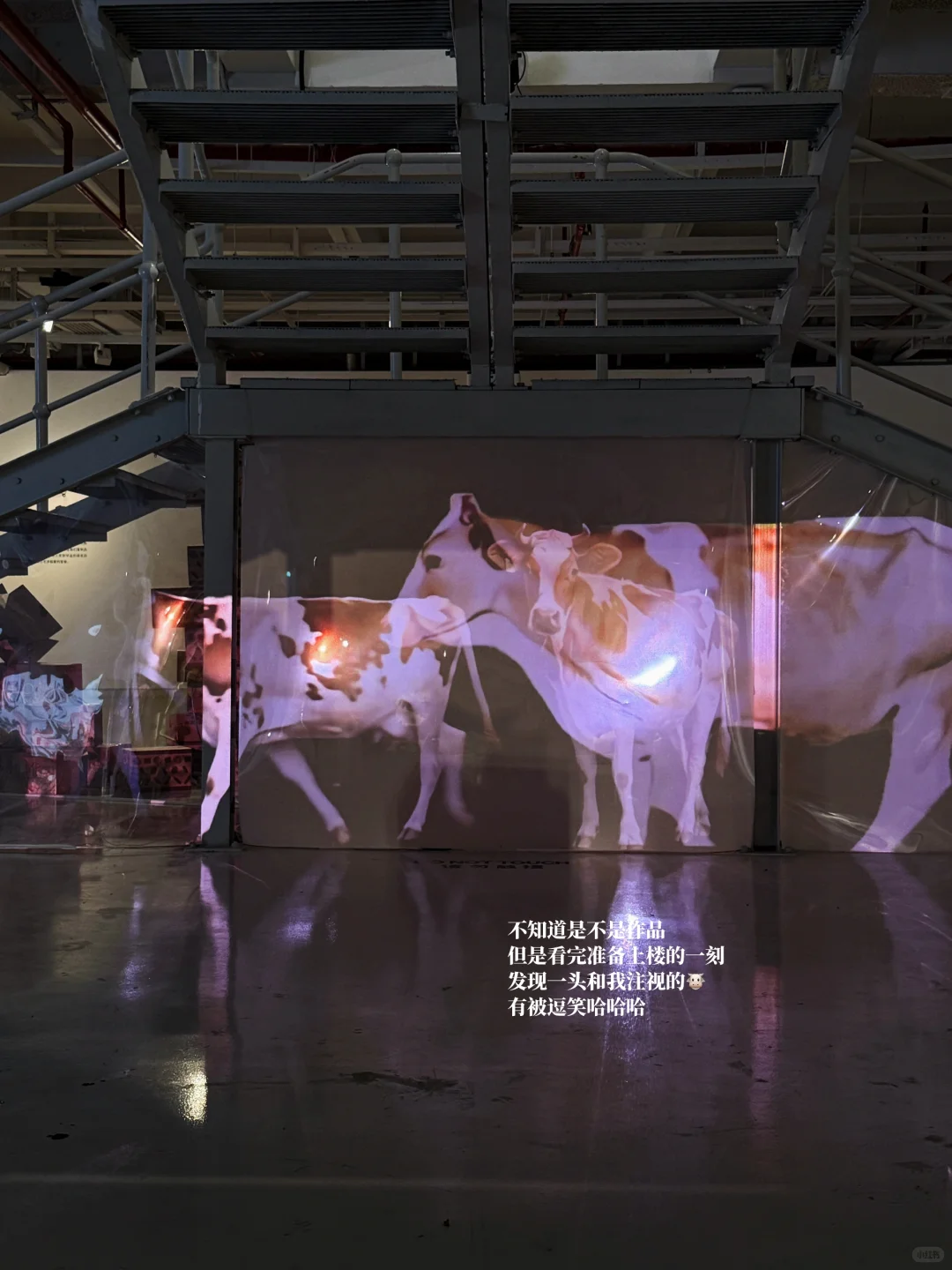 广州｜巨震撼!! 广美毕业展三期太好逛啦??