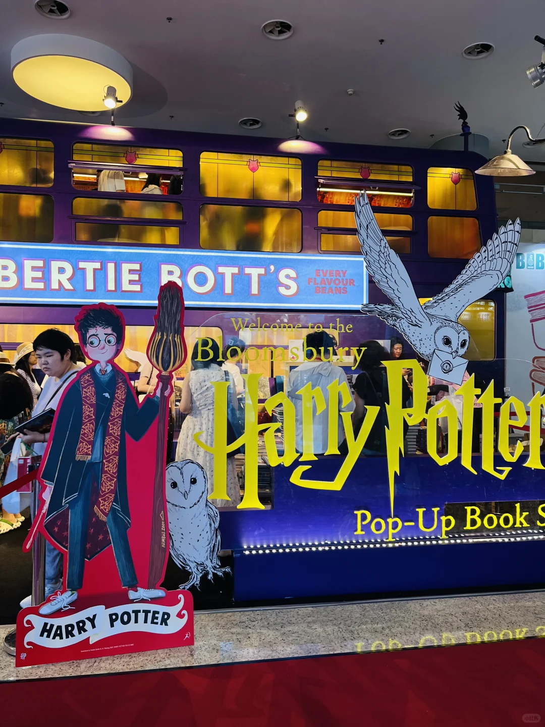 书虫必逛❗2025国际图书展保姆级攻略来啦