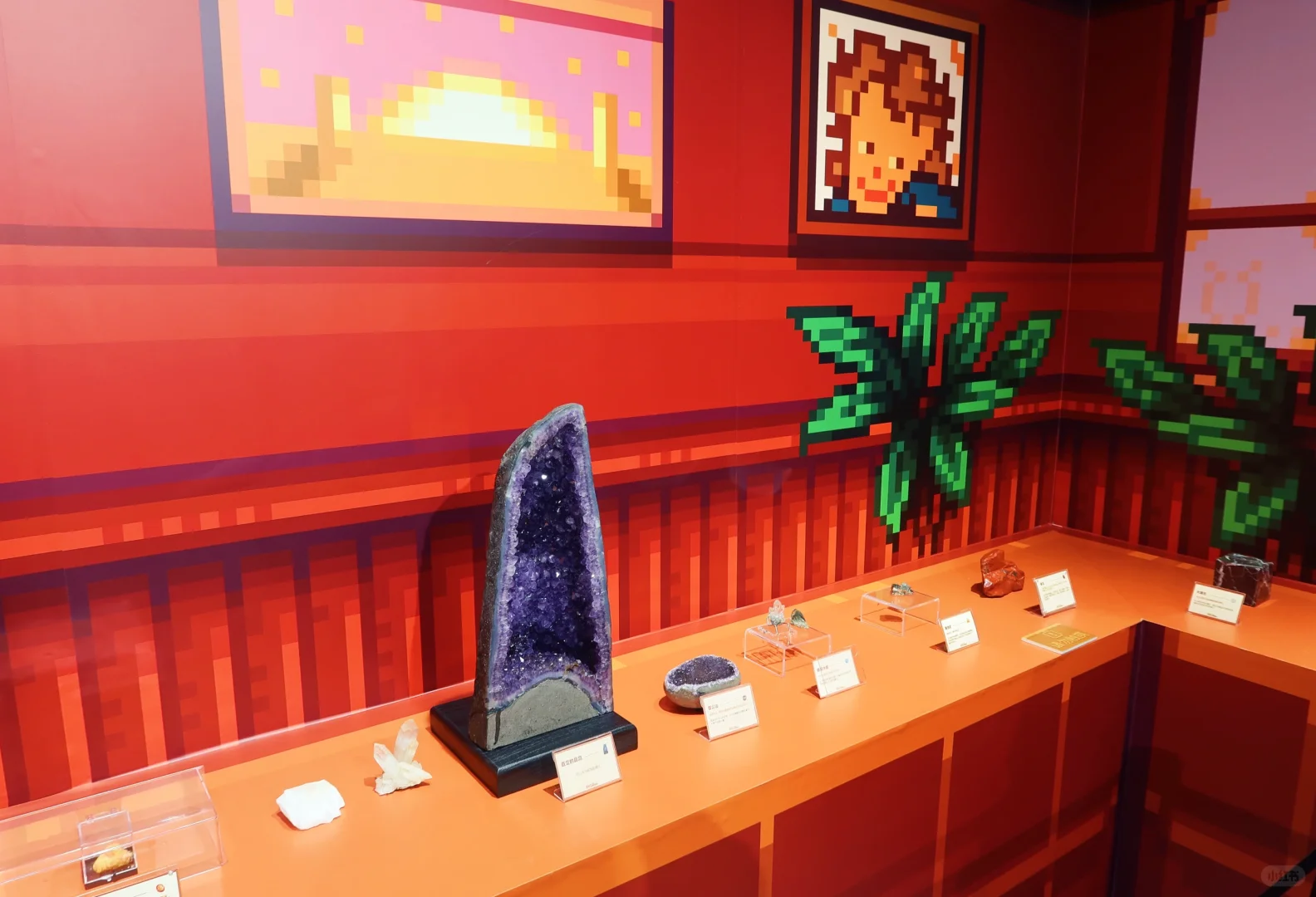 看看现实版星露谷展览会