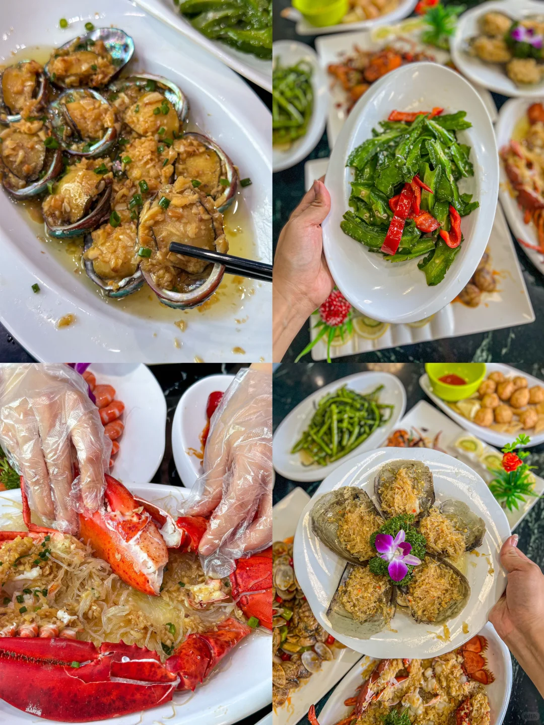 听海浪声和心跳的频率契合°??⋆??