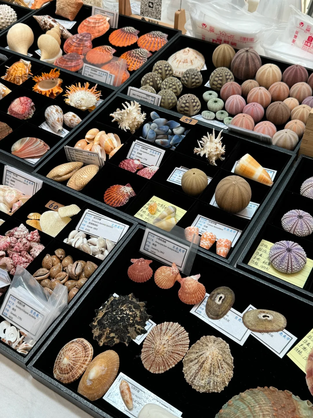 济南人来见世面了。。。。。。好好逛啊！！！！