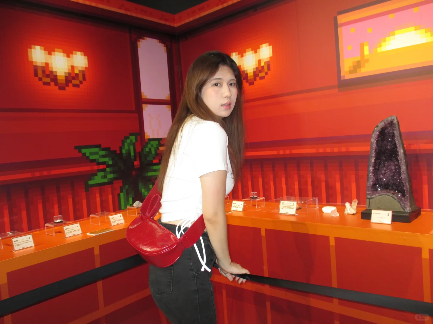 老乡！是上海星露谷展览会！