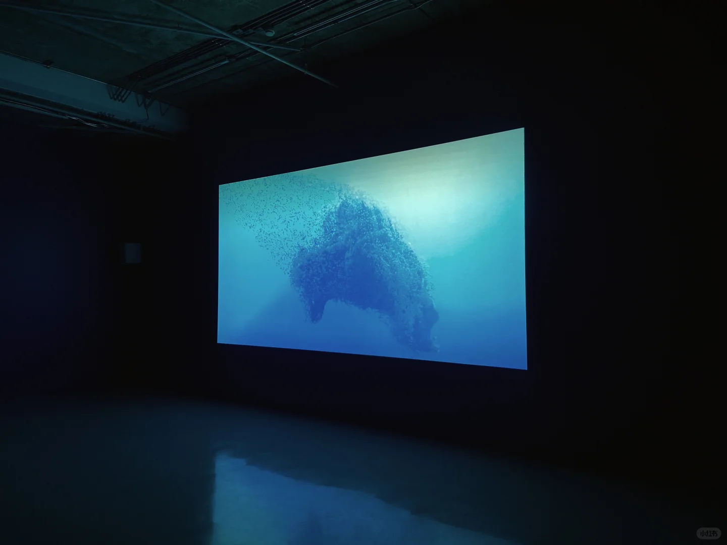 看展，也是在看自己。?