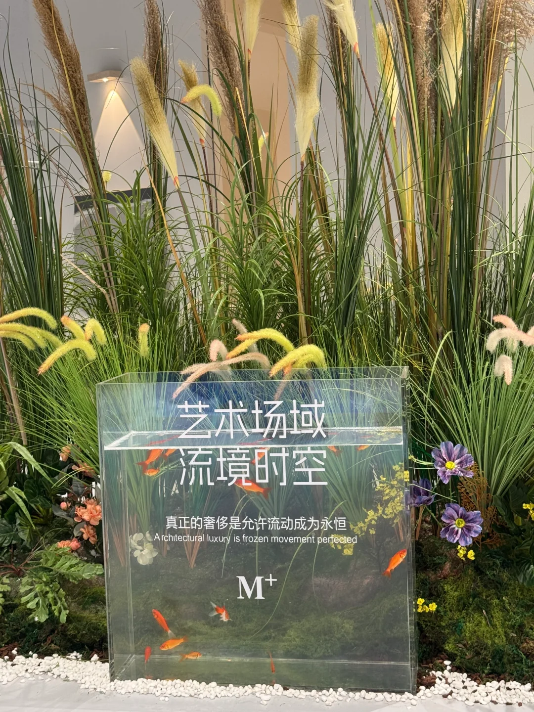 石家庄！预测一下个会?的新展……！！！