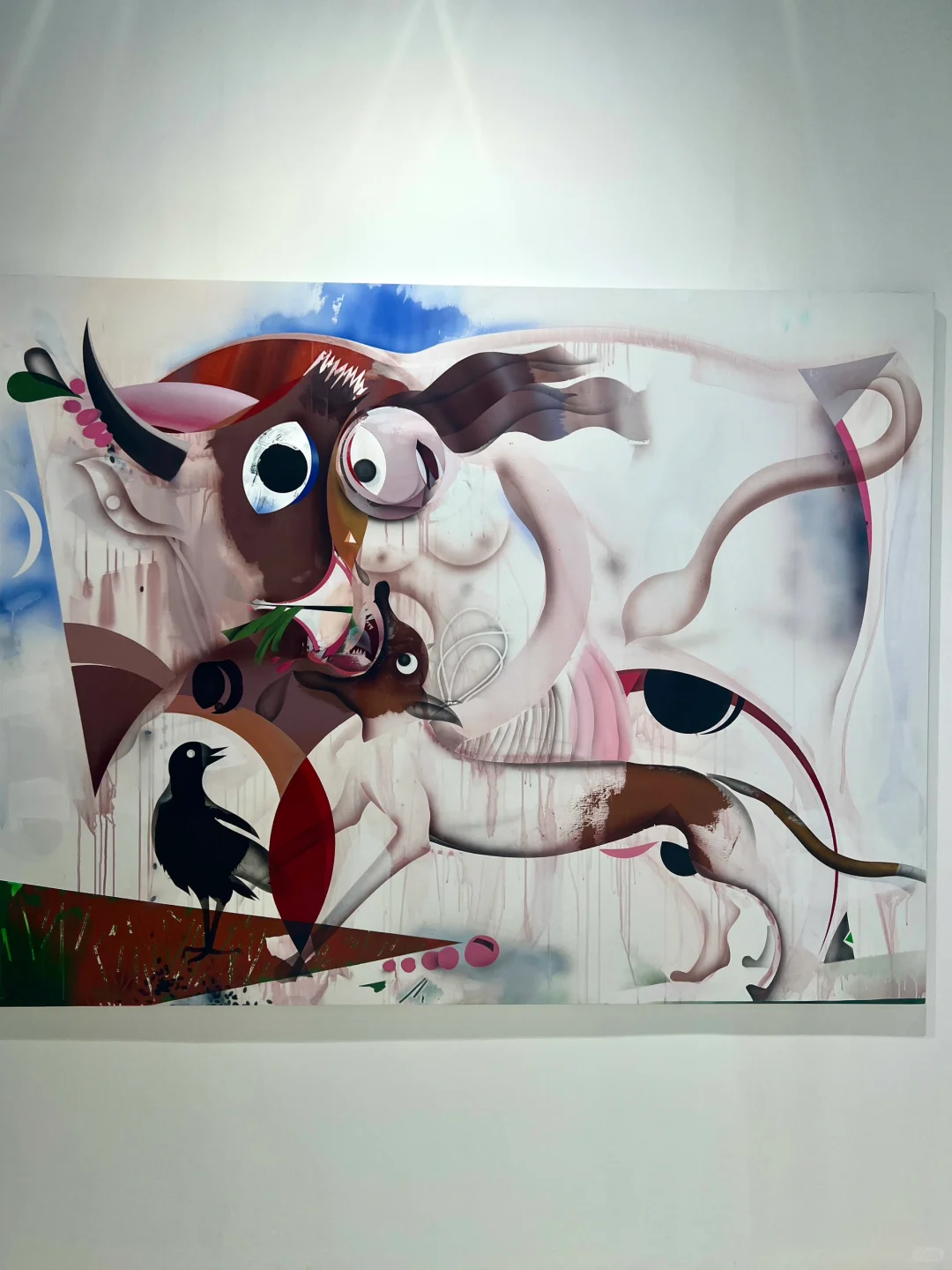 2025.5.22当代艺术博览会