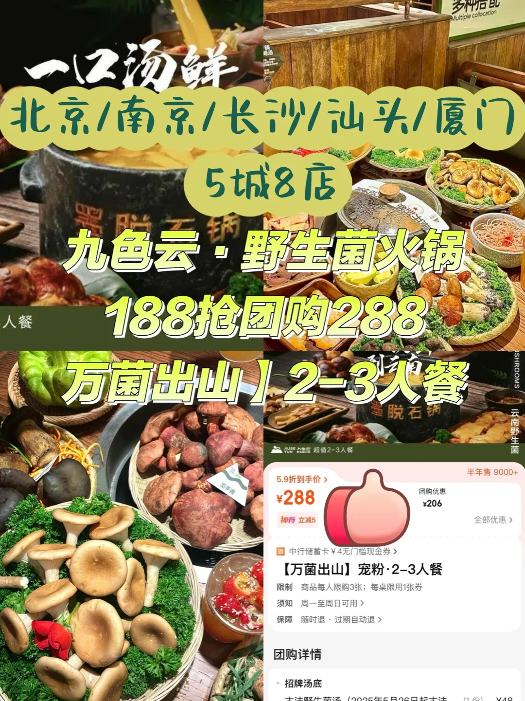全国8店通兑‼人均63吃云南野生菌火锅?