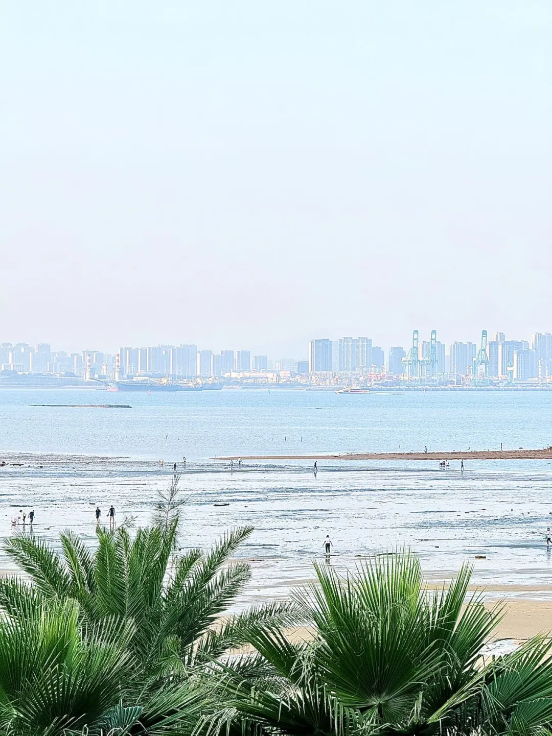 厦门小众前埔会展一日游！附攻略…