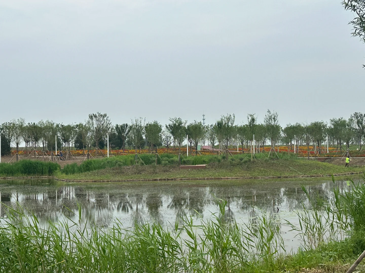 津南区又添一遛娃圣地的大公园 河堤公园