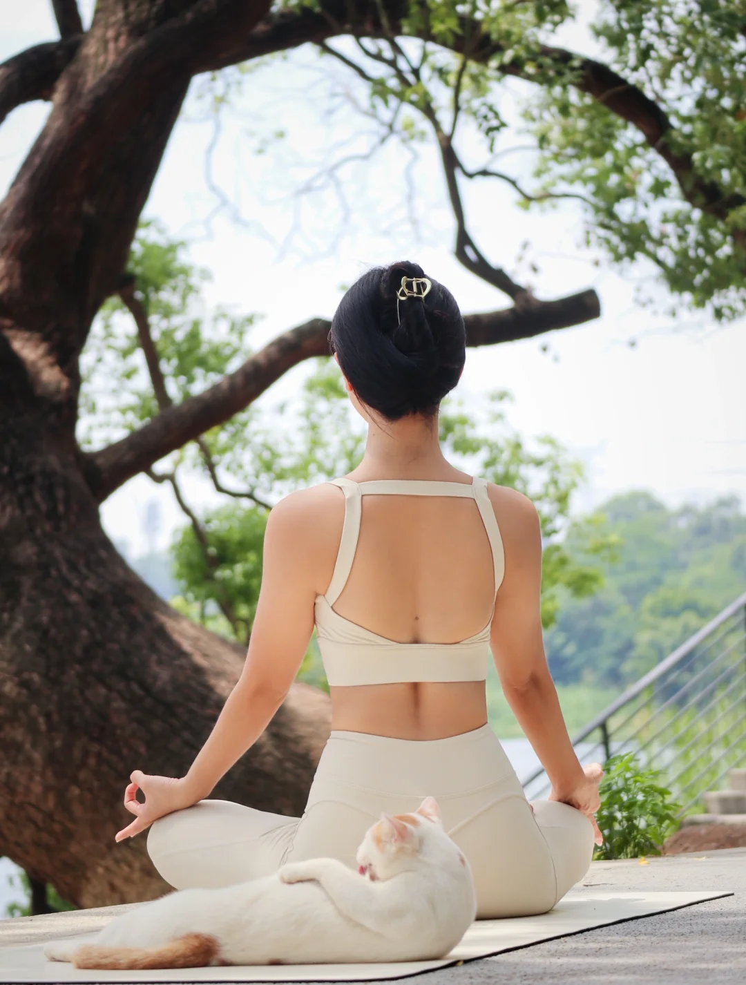 ｜与其在情绪的泥沼中无所适从｜