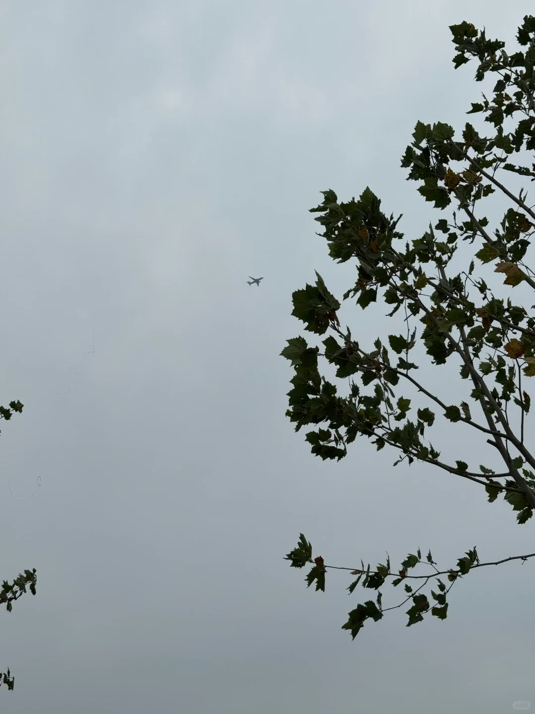 国家会展中心公园