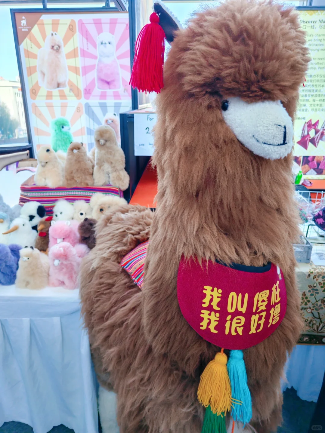 地球收藏家狂喜！这周末来BIBF世界礼物市集