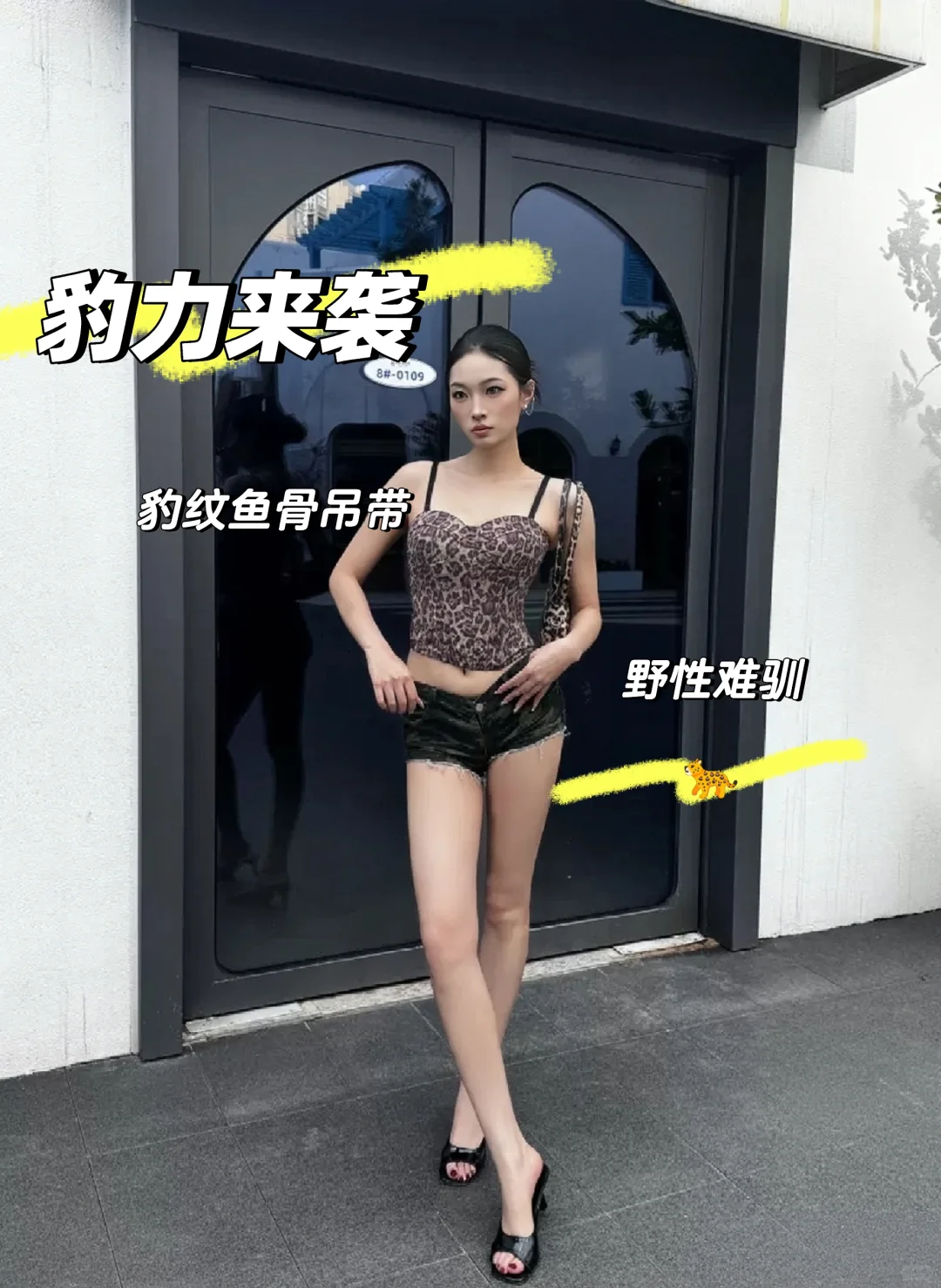 ?【豹力来袭，野性难驯】?