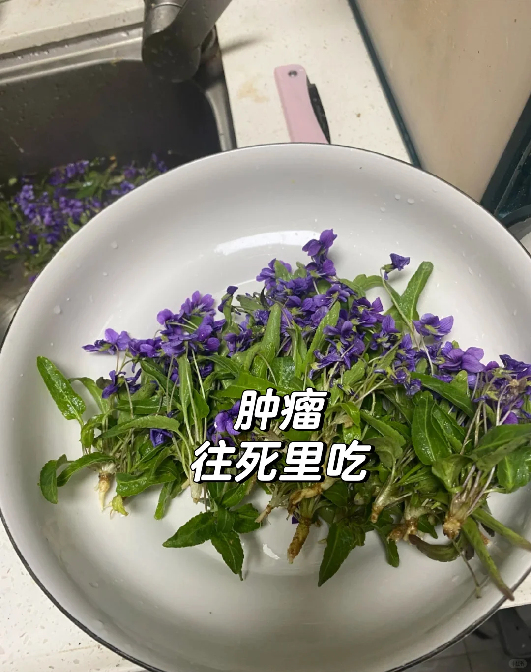 从医四十年，我要戳破肿瘤治疗的迷雾