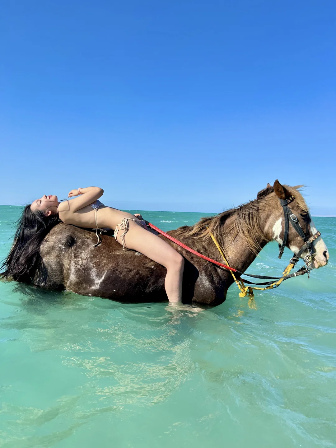 在红海拍到人生live