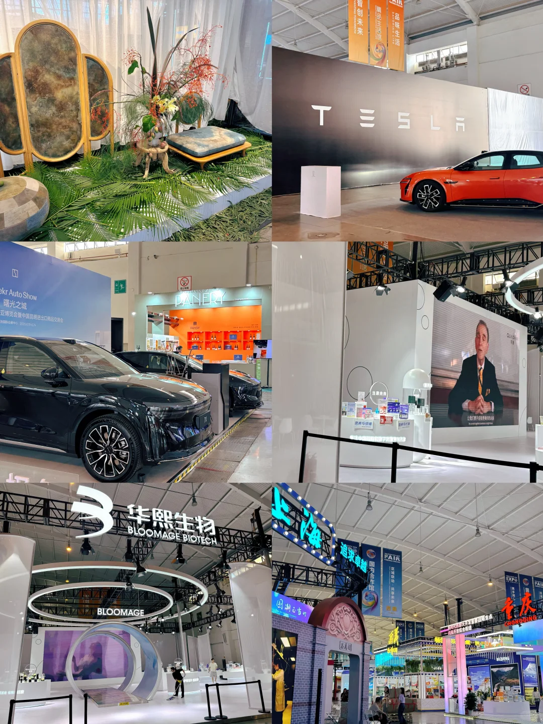 昆明逛展｜⚠️2025南博会逛展预告来啦！???