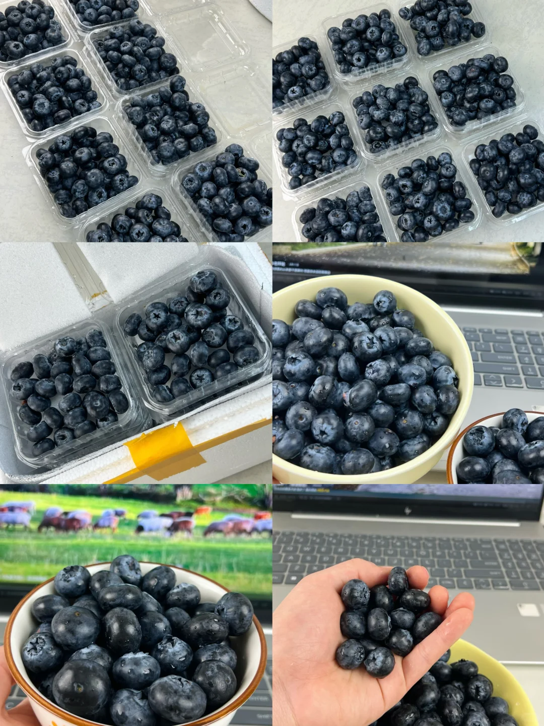 小区团购群爆单王❗29.8四盒的花香蓝莓?