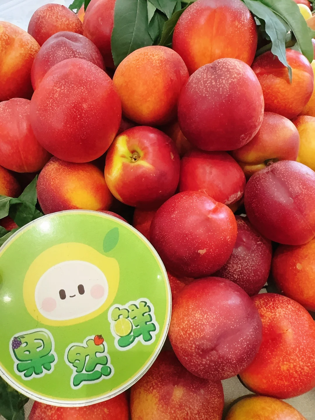 团购团长一起进步学习，八家子产地渠道分享