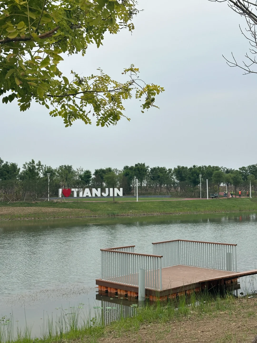 津南区又添一遛娃圣地的大公园 河堤公园