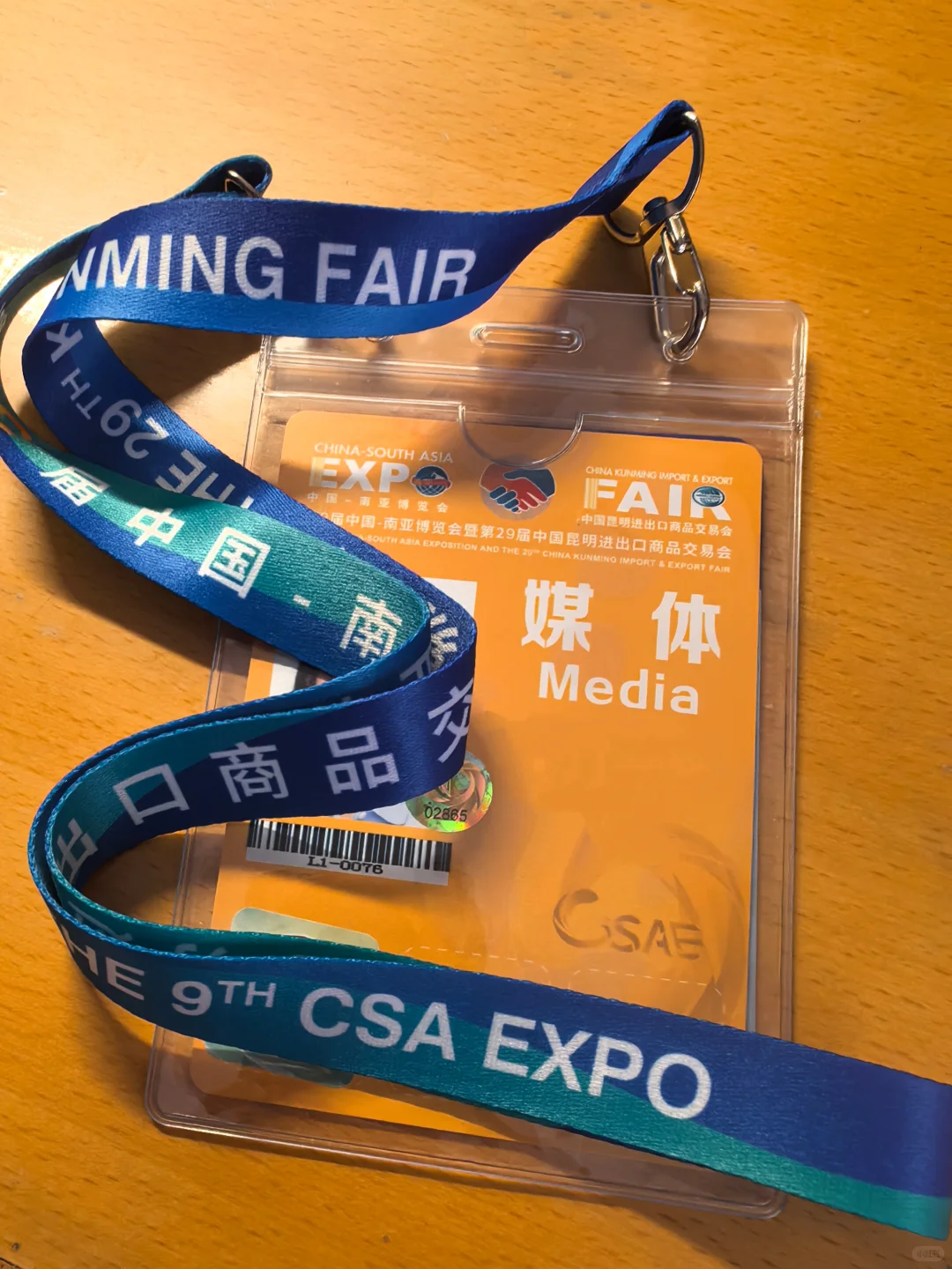 关于采访报道第9届南博会