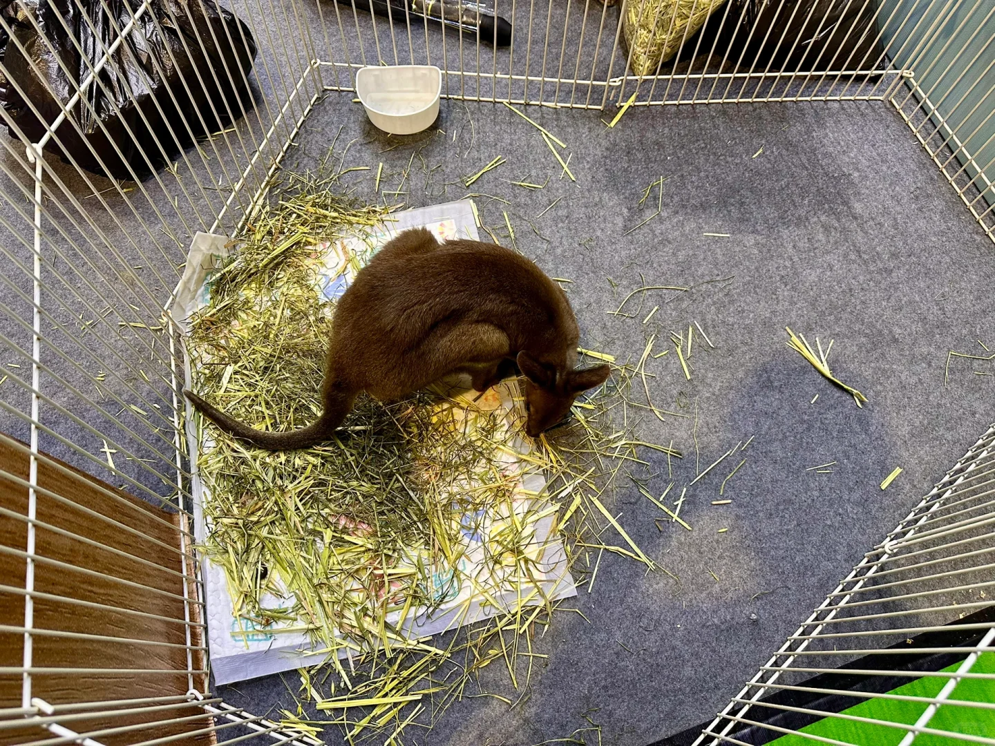 它博会超实用攻略