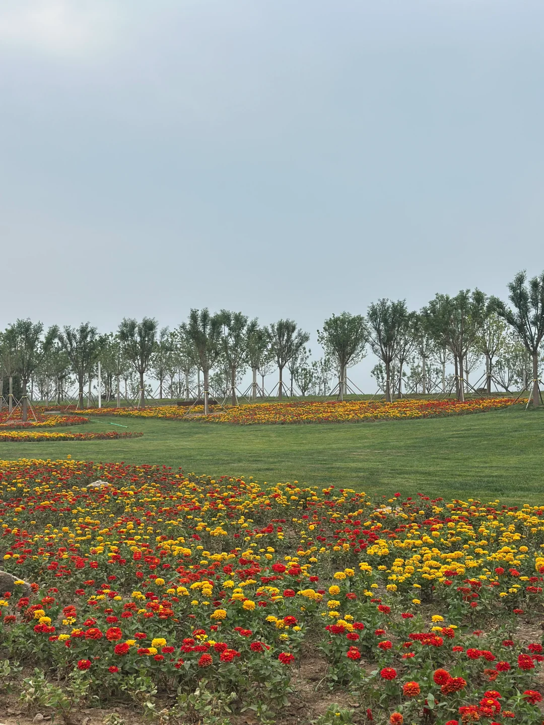 津南区又添一遛娃圣地的大公园 河堤公园