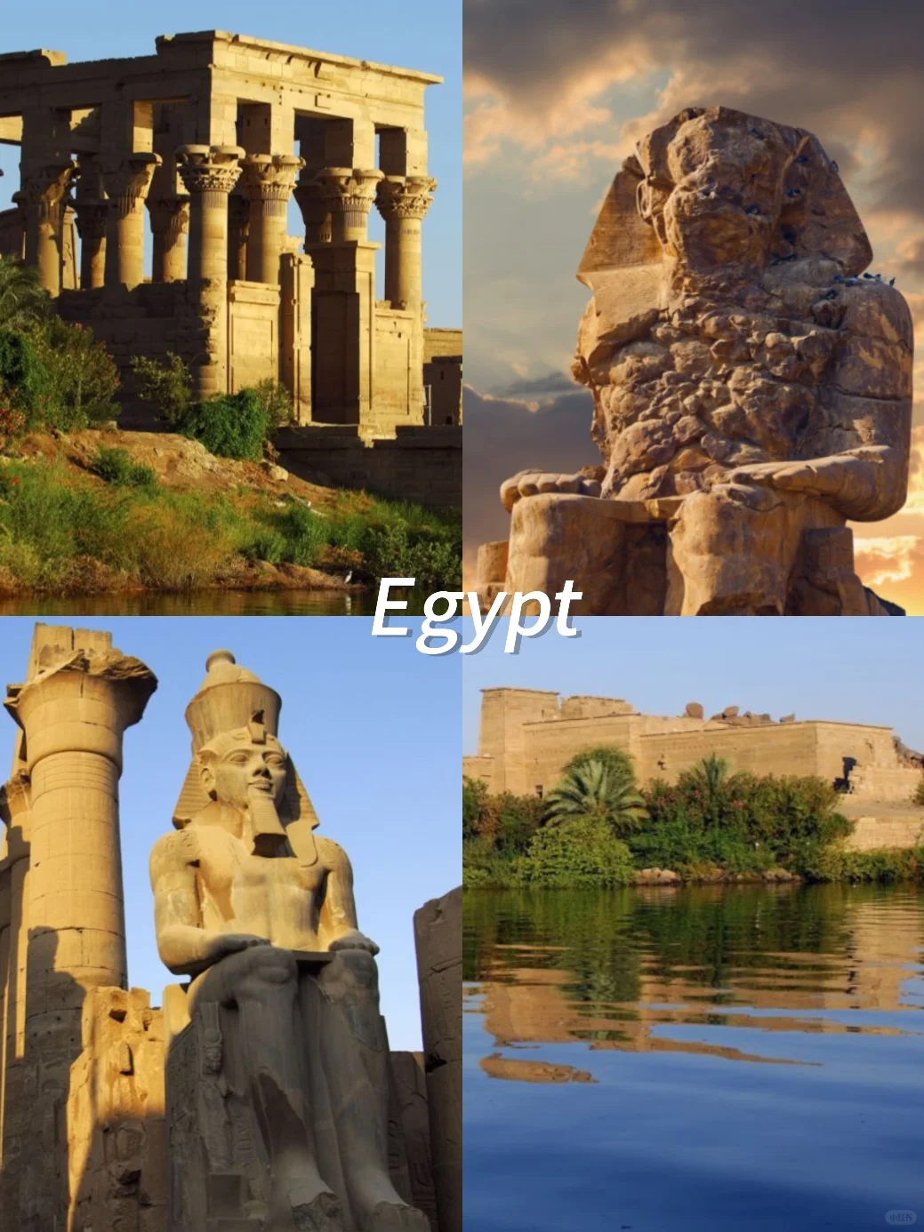 惊❗️上海这场展让我环游了80+国家?