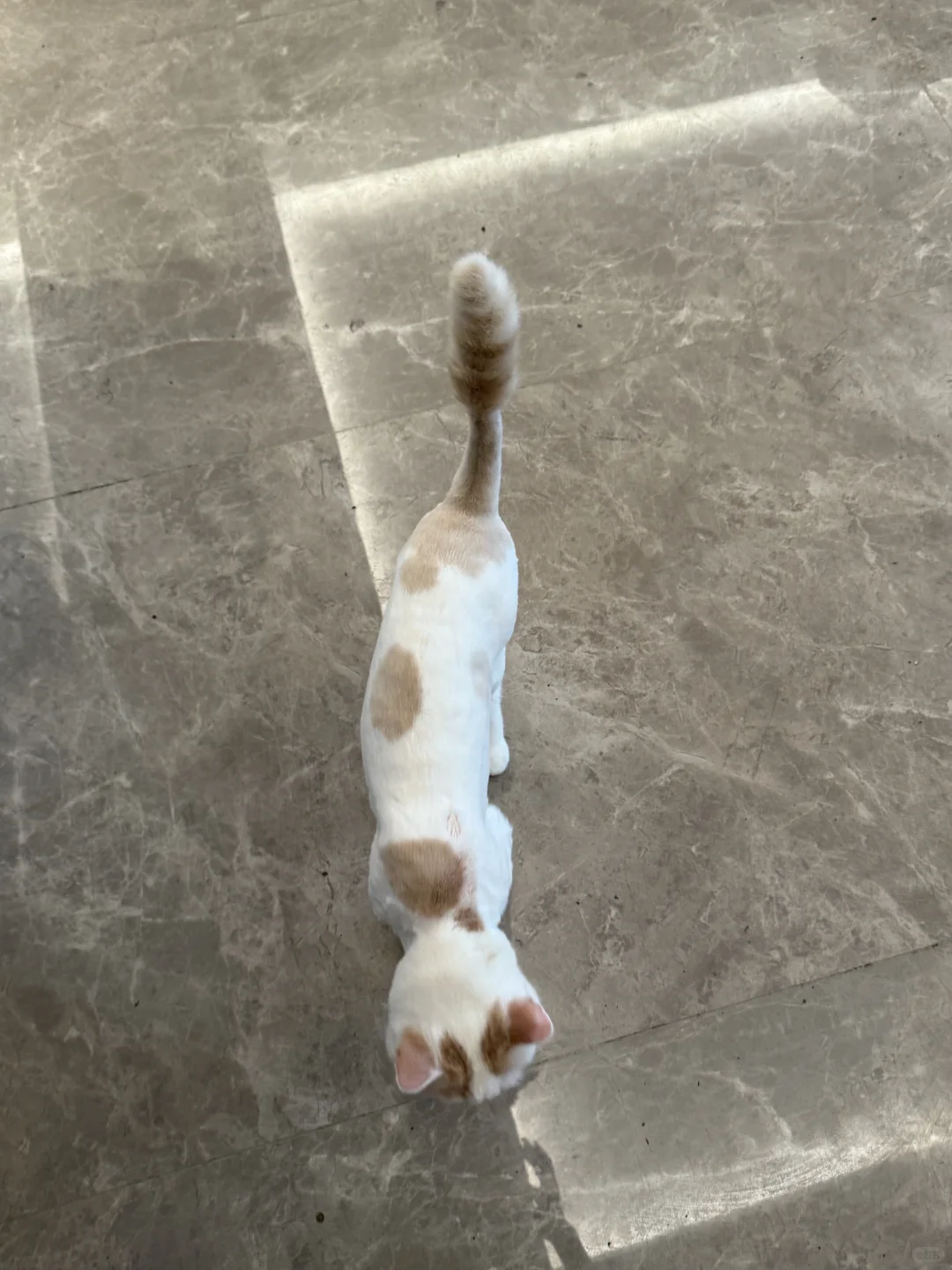 从时薪200+到日薪200，活过来了