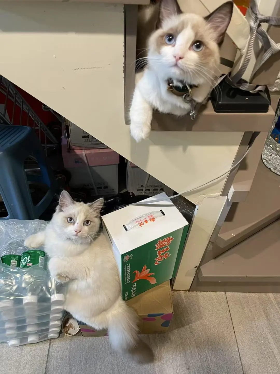 次日达就是会败给小时达的不是吗