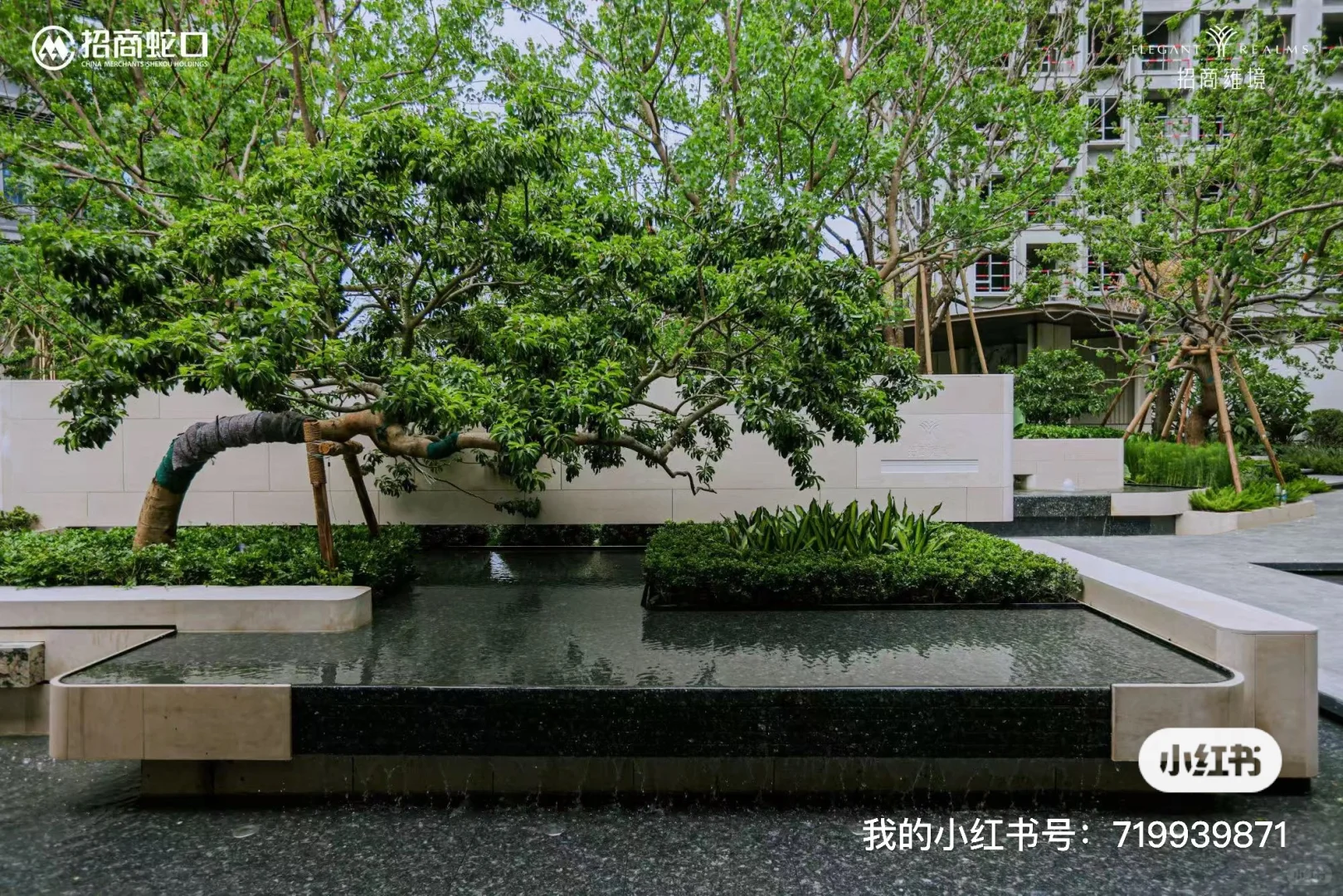 会展湾招商雍境二期实景照片