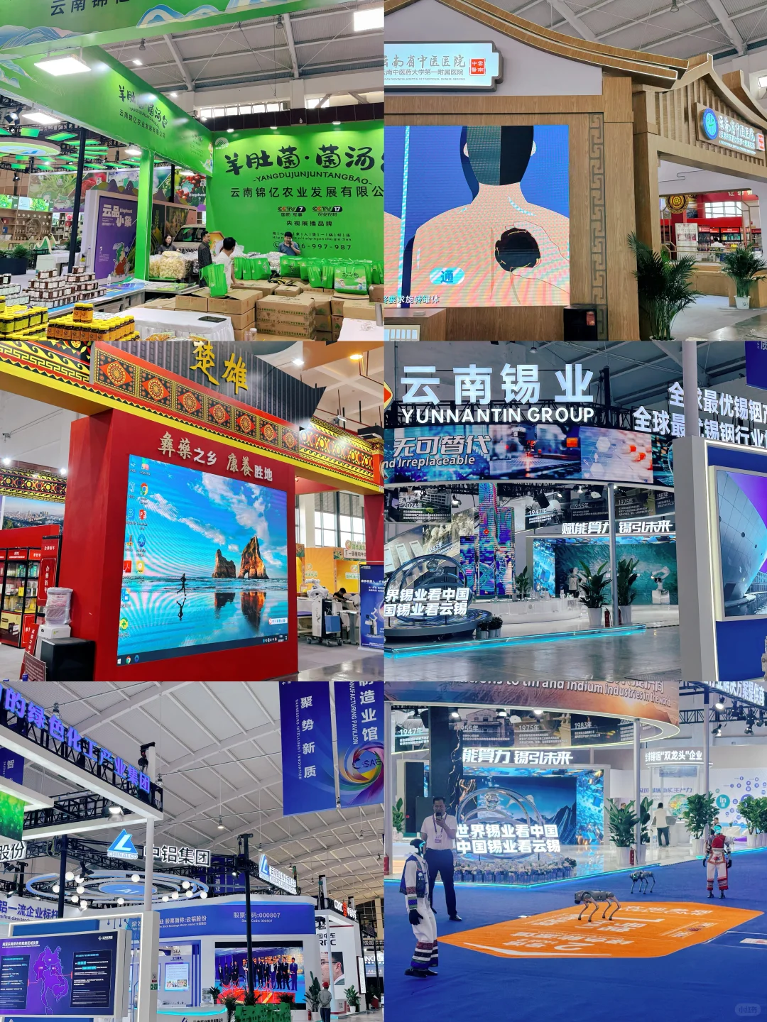 昆明逛展｜⚠️2025南博会逛展预告来啦！???