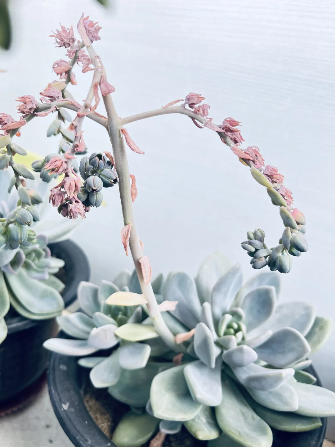 53岁|正是大大方方的岁数