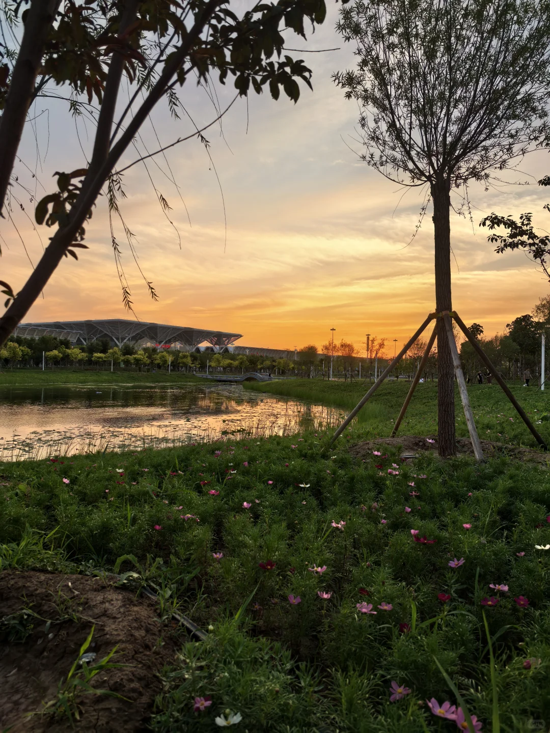 会展中心的公园是真的出片