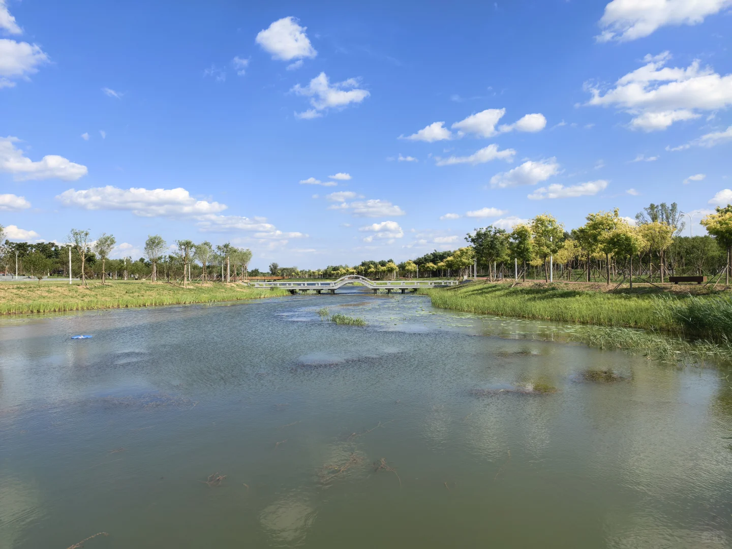 会展中心的公园是真的出片