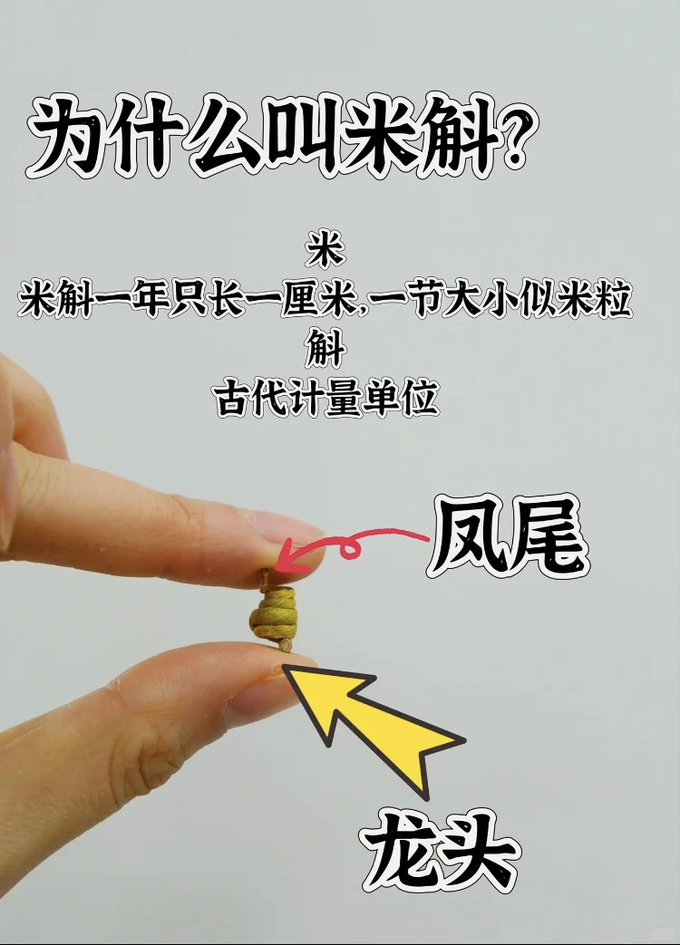 在展会被骗，杭州！在杭州！！