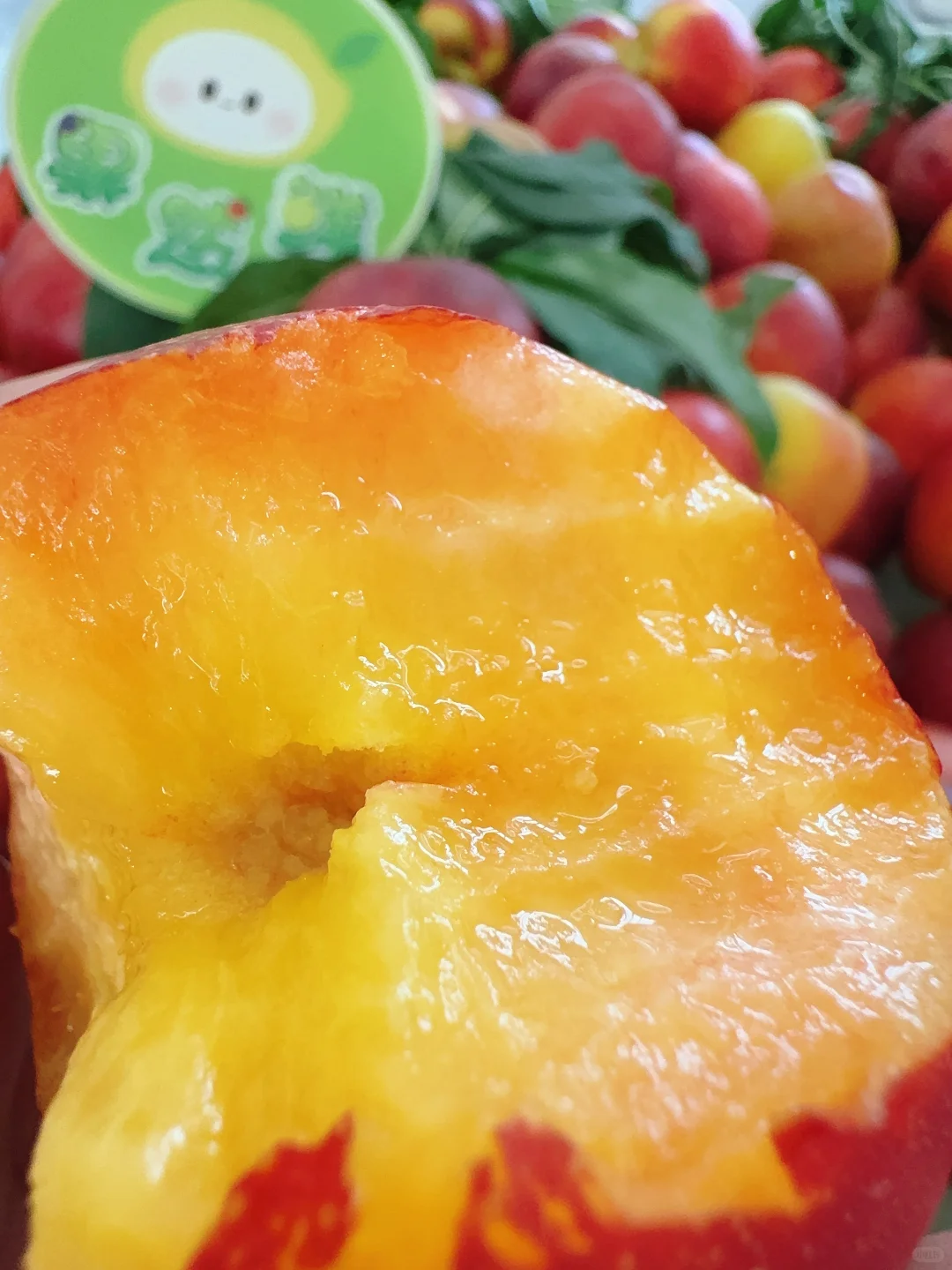 团购团长一起进步学习，八家子产地渠道分享