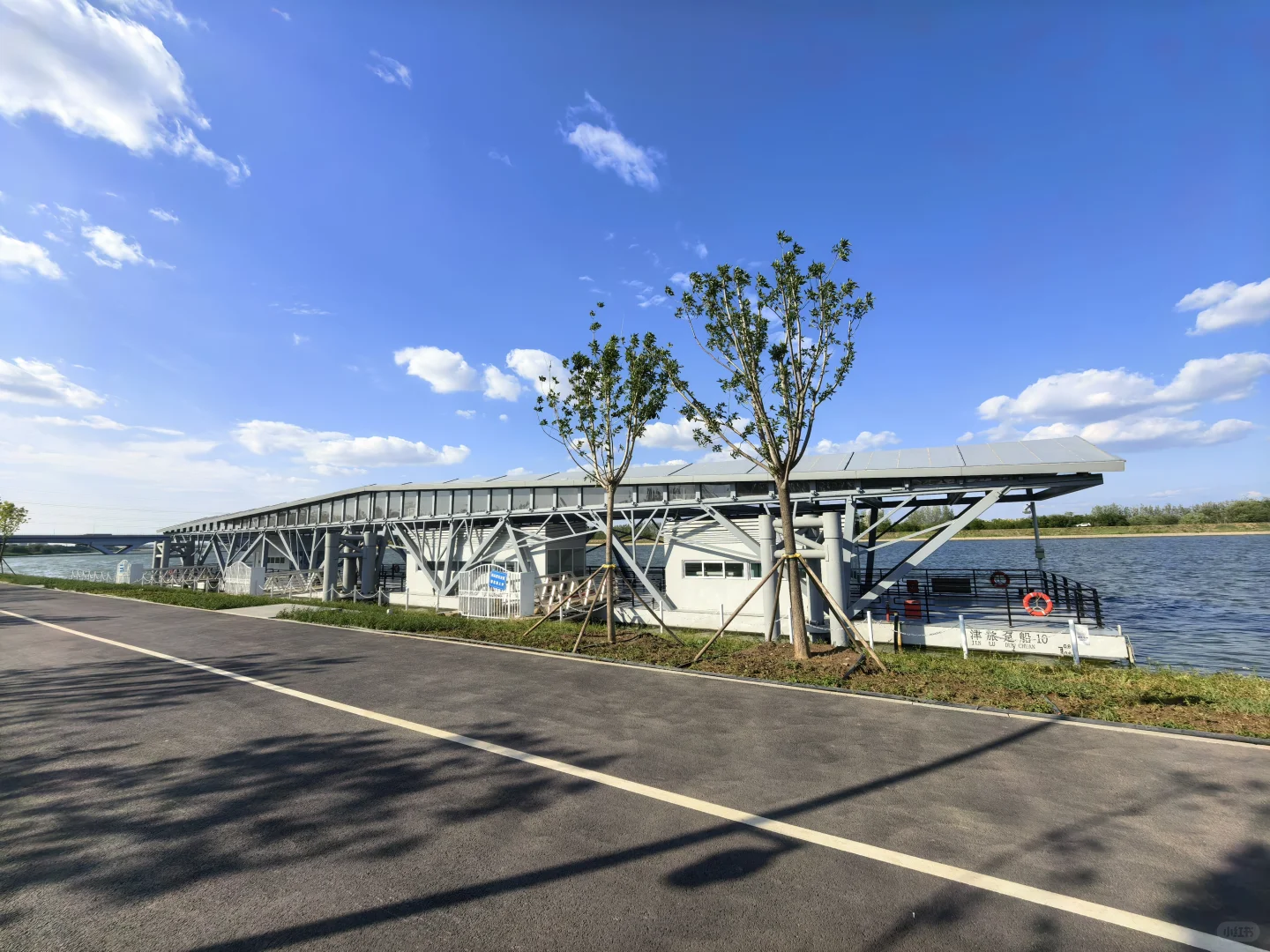 会展中心的公园是真的出片