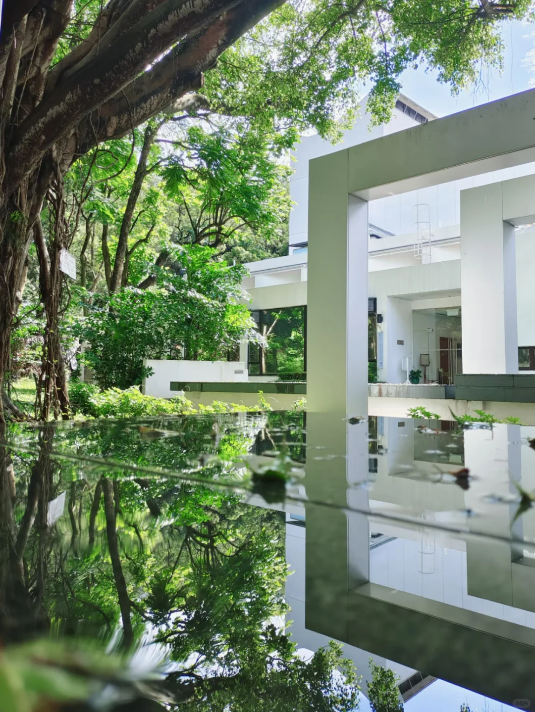 抢占最后名额｜国青模联夏季会议香港会场