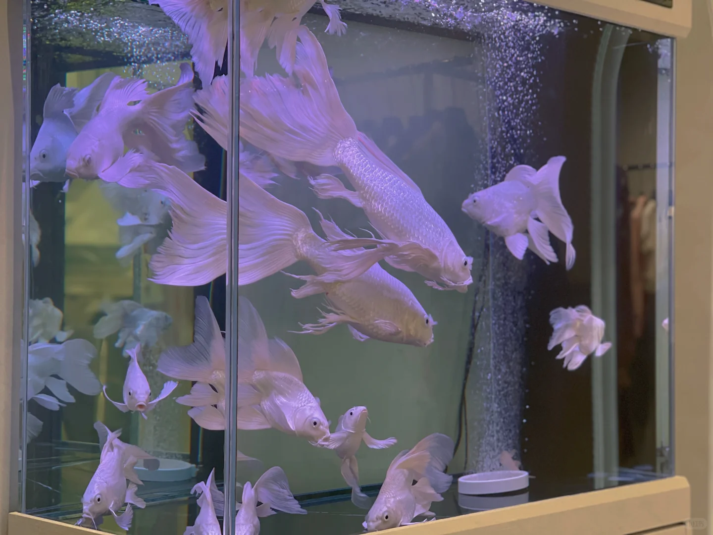 四十而已，宇宙尽头的快乐是姐妹局?