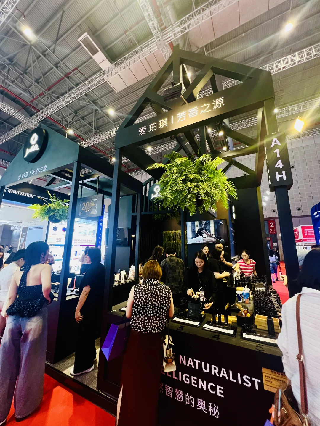 2025上海美博会6.24～6.26交通指引