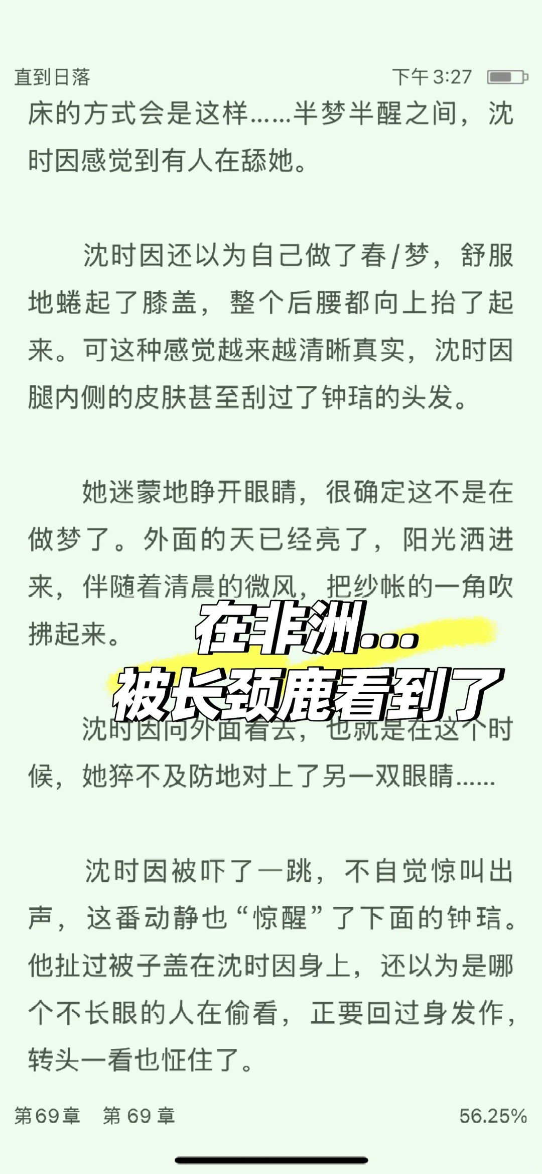 男女主在非洲，被长颈鹿看见了 熟男熟女